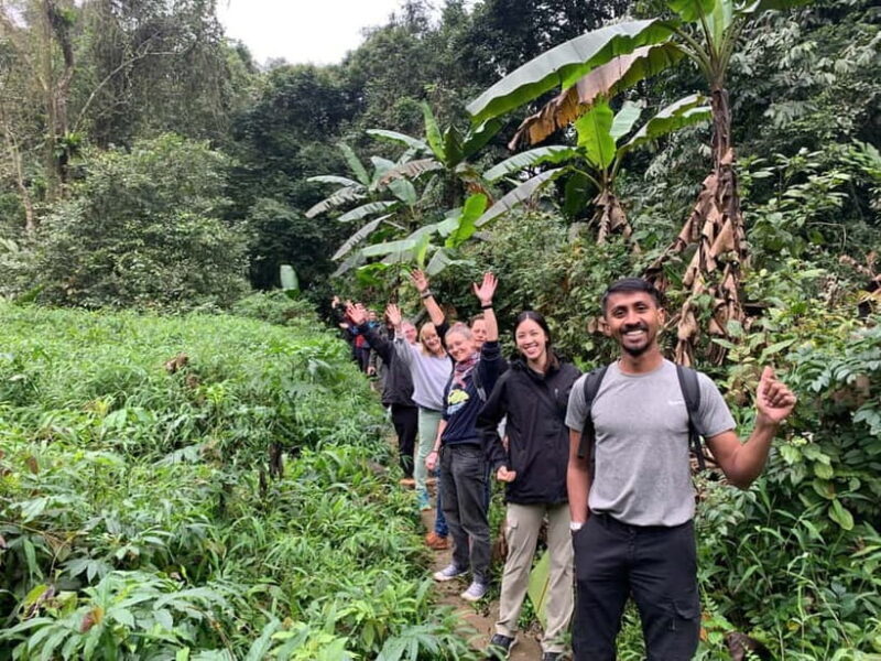Ninh Binh: Cuc Phuong Jungle Hike & Wildlife Day Trip - Who Will Love This Tour?