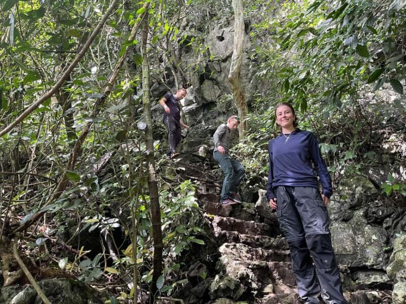 Ninh Binh: Cuc Phuong Jungle Trek, Wildlife & Ancient Caves - Key Points
