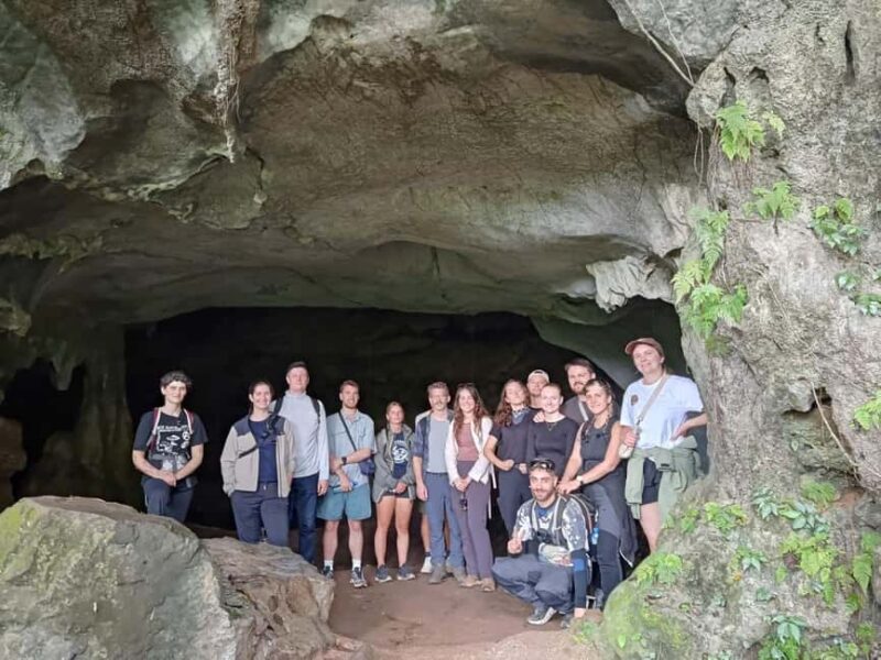 Ninh Binh: Cuc Phuong Jungle Trek, Wildlife & Ancient Caves - Discovering Cuc Phuong National Park: An In-Depth Look