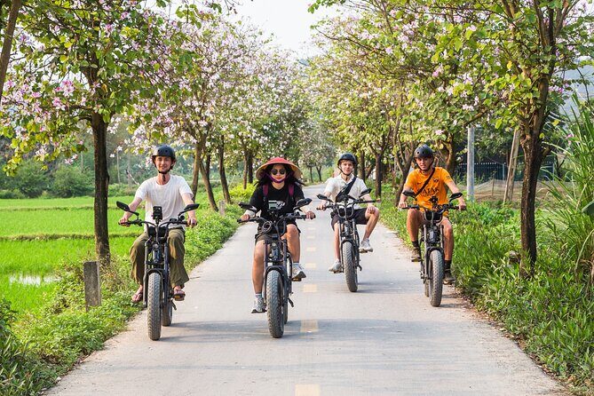 Ninh Binh E-Bike Tour - Ninh Binh's Must-See Highlights - Key Points