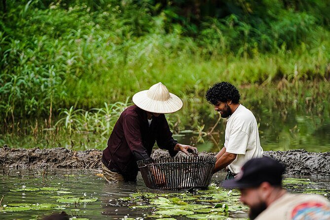 Ninh Binh eco group tour - Buffalo riding, rice planting, fishing - Exploring Ninh Binh: A Deep Dive into the Experience