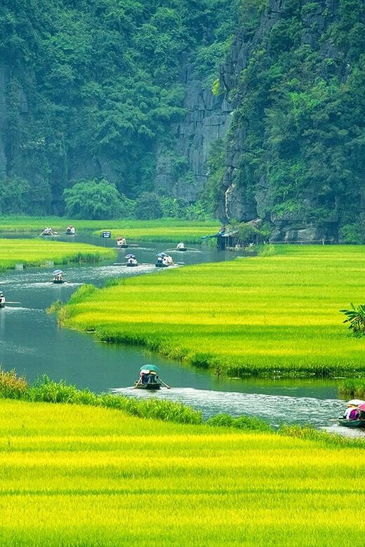 Ninh Binh full day - Mua Cave - Tam Coc boating - Hoa Lu - The Sum Up