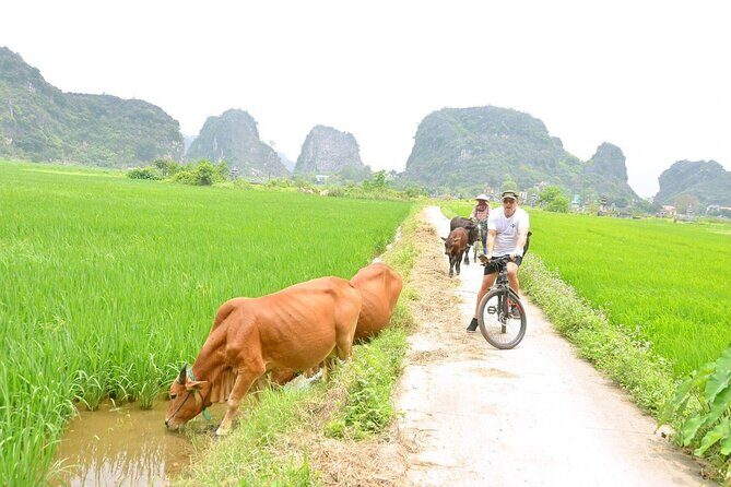 Ninh Binh Full-Day Small Group of 9 Guided Tour from Hanoi - Final Thoughts