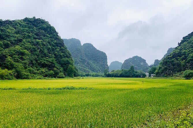 Ninh Binh Full Day Trip From Hanoi To Hoa Lu, Trang An, Mua Cave - Exploring Ninh Binh: A Full-Day Journey from Hanoi