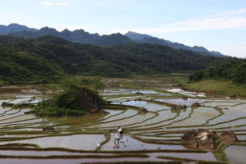 Ninh Binh: Highlights Luxury Small Group Day Tour - The Sum Up