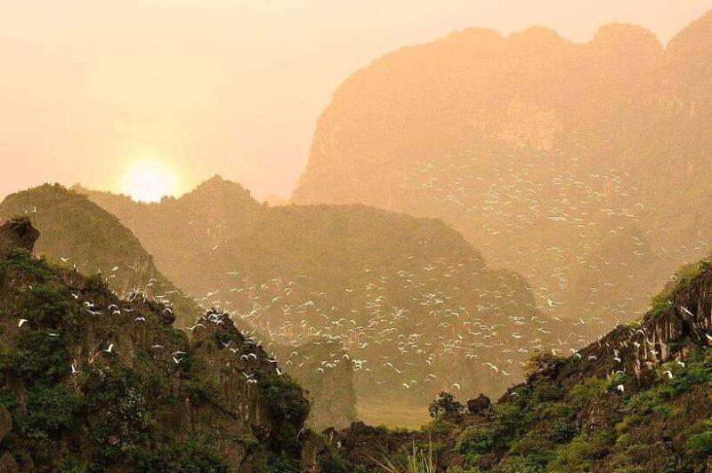 Ninh Binh Jeep Tour: Tam Coc HIGHTLIGHTS & HIDDEN GEMS - Final Thoughts