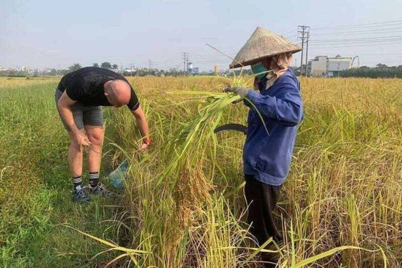 Ninh Binh Jeep Tours From Hanoi: JEEP - BOAT - DAILY LIFE - Final Thoughts
