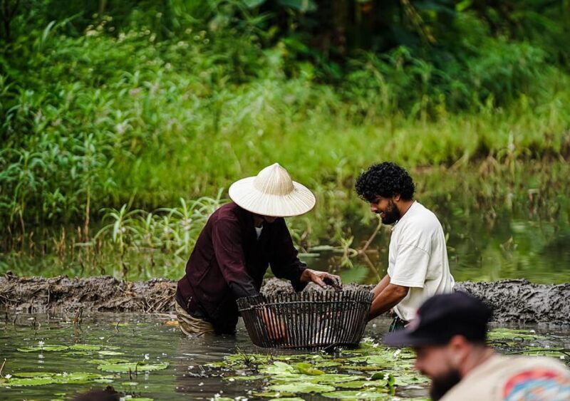 Ninh Binh: Rice planting and fishing by basket tour - Key Points