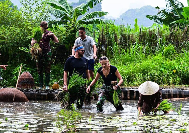 Ninh Binh: Rice planting and fishing by basket tour - Who Should Consider This Tour?