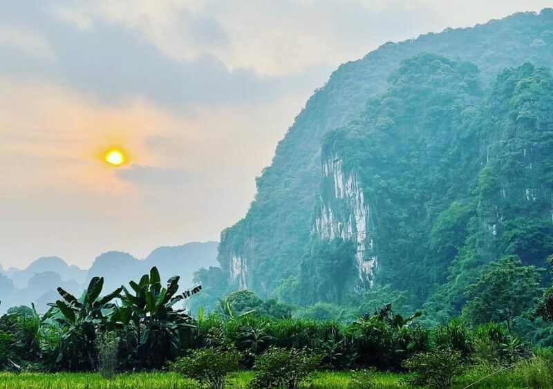 Ninh Binh: Rice planting and fishing by basket tour - FAQ