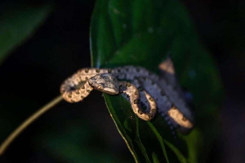 Ninh Binh Thung Nham, Cuc Phuong National Park 2 Day Tour - What’s Included & Practicalities