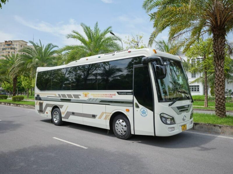 Ninh Binh - Trang An - Mua Cave Day Trip with All-inclusive - The Sum Up