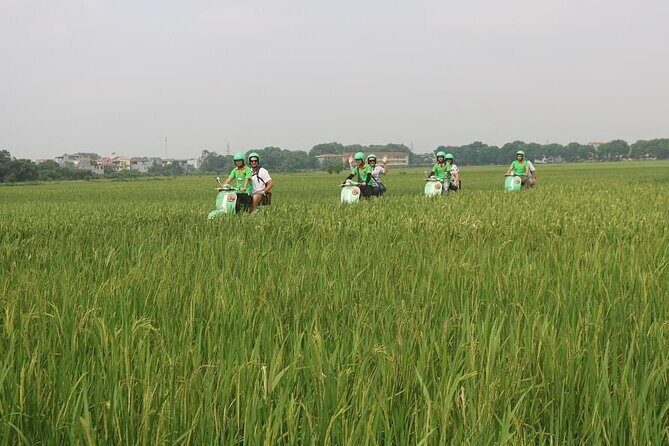 Ninh Binh Vespa Start from Hanoi + Boat + Villages +Rice Paddies - FAQs
