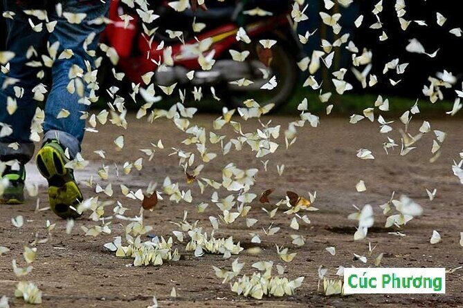 Ninh Binh Vietnam 2 Days - Discover multiple wonderful places - Day 1: A Deep Dive into History and Scenic Beauty