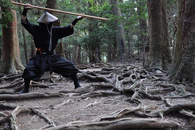 Ninja Trekking half-day tour at Mt.Daimonji Kyoto - Why We Think This Tour Offers Great Value
