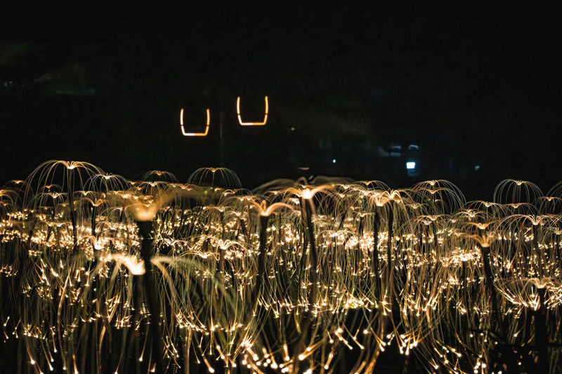 Niseko Hanazono Resort Ezo Fuji Mt.Yotei Art Mountain Lights - What the price covers, and what it does not