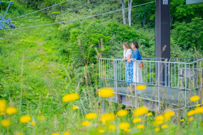 Niseko Hanazono Resort Ezo Fuji Mt. Yotei Observation Gondola - Is the $12.65 fare good value?