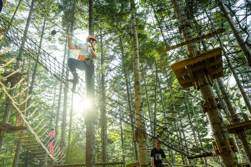 Niseko Hanazono Resort Ezo Fuji Mt. Yotei Tree Trekking - Seven courses turn a forest into a challenge