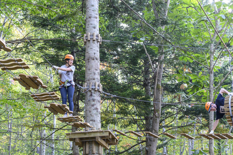 Niseko Hanazono Resort Ezo Fuji Mt. Yotei Tree Trekking - At HANAZONO308, arrive ready to gear up