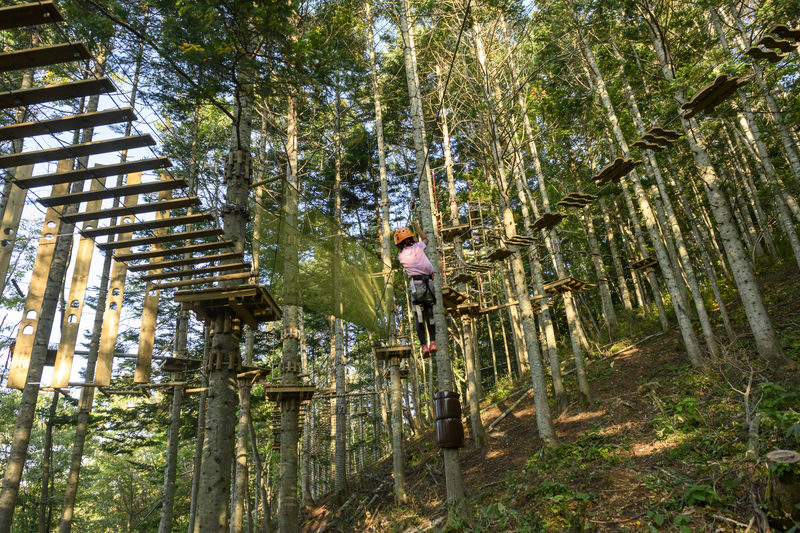 Niseko Hanazono Resort Ezo Fuji Mt. Yotei Tree Trekking - The price makes sense if you use the course