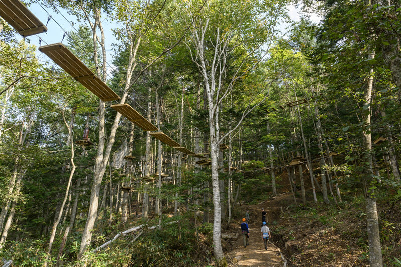 Niseko Hanazono Resort Ezo Fuji Mt. Yotei Tree Trekking - Who will enjoy Hanazono’s tree trekking