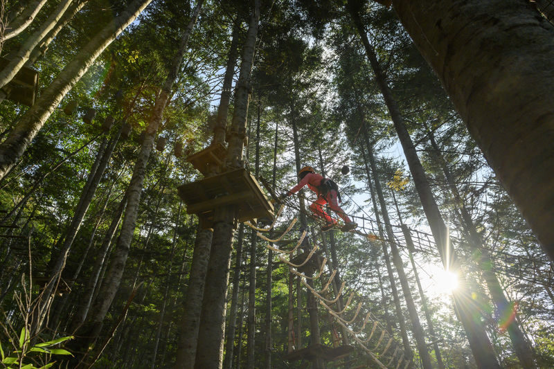 Niseko Hanazono Resort Ezo Fuji Mt. Yotei Tree Trekking - Should you book this Niseko tree trek?