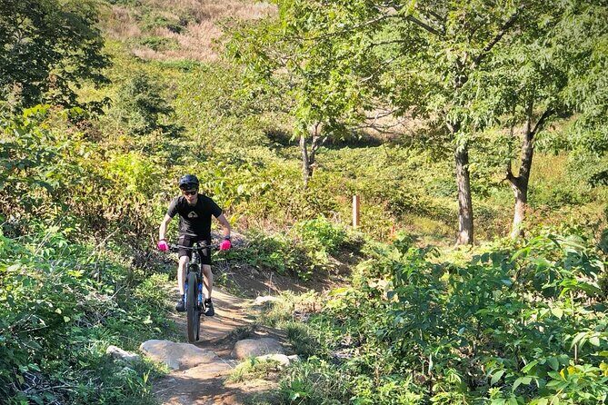 Niseko Mountain Biking Tour - Niseko Mountain Biking Tour: A Practical and Authentic Ride in Hokkaido