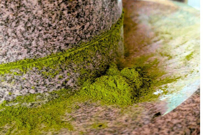 Nishio Matcha StoryTea Ceremony & Matcha Kaiseki Journey - Key Points