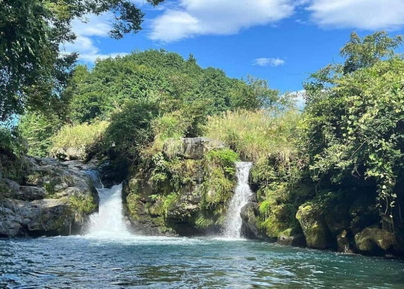 Nishiusuzuka: Fuji Forest Hiking Tour with Guide & Transfer - Exploring Nishiusuzukas Fuji Forest Trail