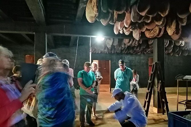 Njegusi Smokehouse, Farm to fork experience & Kotor walking tour - A detailed look at the experience: from city streets to mountain peaks