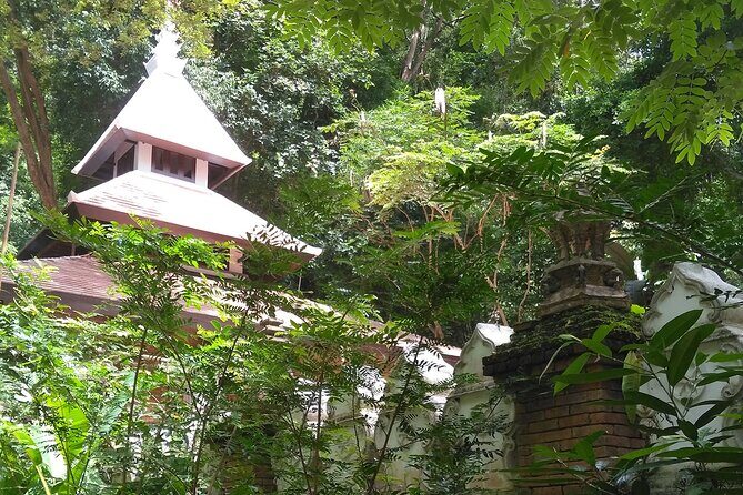 No.1 Chiang Mai: 3-Hour Monk Trail Hike to Wat Doi Suthep & Palad - A Complete Look at the Chiang Mai Monk’s Trail Hike