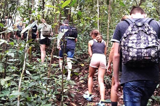 No.1 Chiang Mai: 3-Hour Monk Trail Hike to Wat Doi Suthep & Palad - The Sum Up