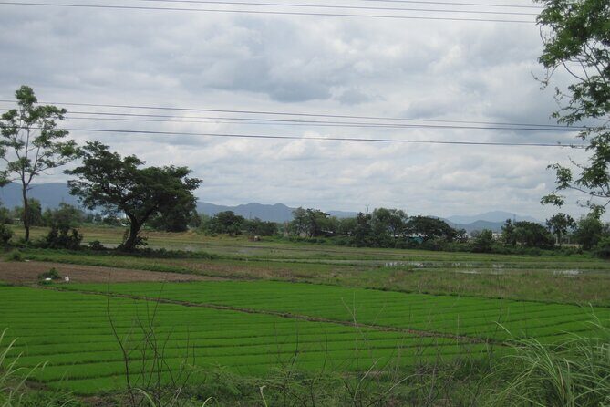 "No.1 Chiang Mai: Half Day Rice Field Vision Mountain Biking " - The Sum Up