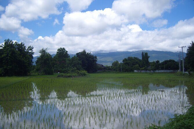 "No.1 Chiang Mai: Half Day Rice Field Vision Mountain Biking " - FAQ