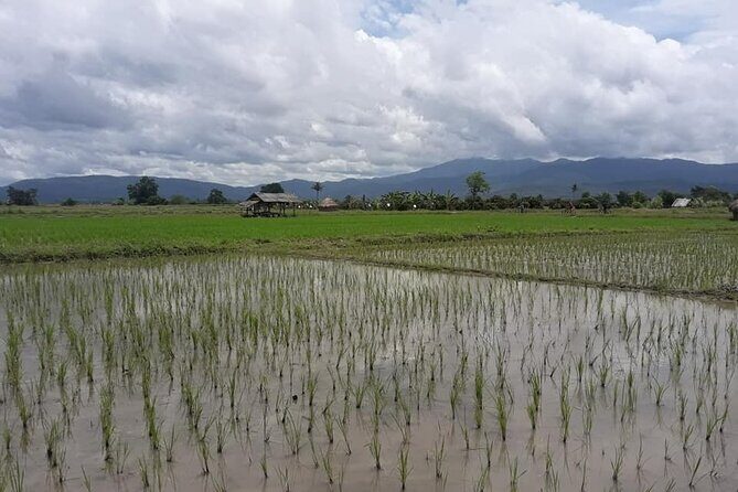 "No.1 Chiang Mai: Leisure Bicycle Ride to Lake Huay Tueng Tao" - Key Points