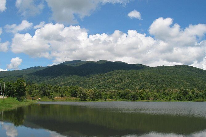 "No.1 Chiang Mai: Leisure Bicycle Ride to Lake Huay Tueng Tao" - A Detailed Look at the Tour Experience