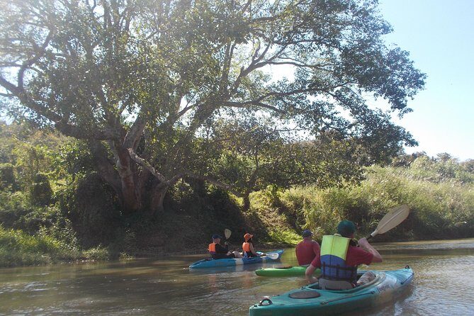 No.1 Chiang Mai: Leisure River Kayaking: Mae Taeng forest Reserve - Why This Kayaking Tour Offers Great Value