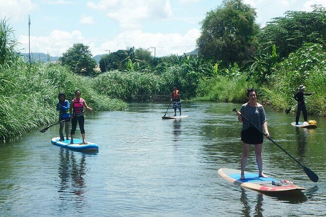 No.1 Chiang Mai: Stand Up Paddle Board through Mae Taeng Forest - What Travelers Love Most