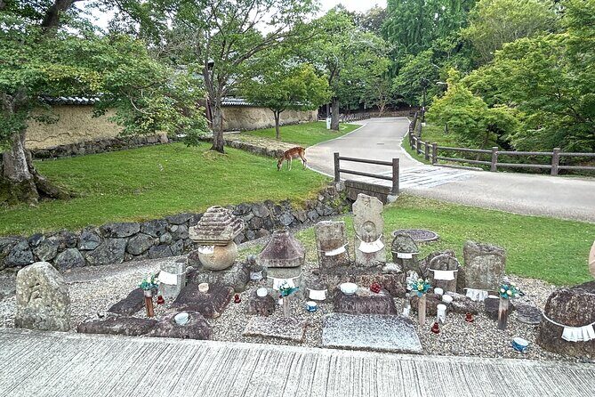 No Emission Car Nara Private Tour from Kyoto with Japanese Guide - Why Choose This Tour Over Others?