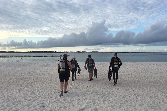 No Experience Required to Discover Scuba in Florida - What to Expect During the Tour