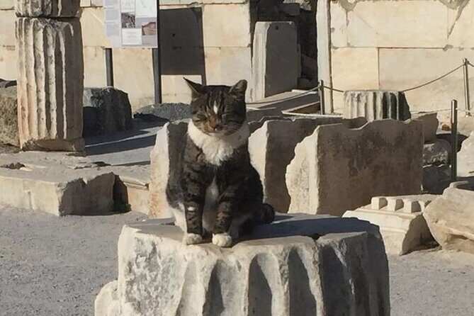 NO HIDDEN FEES Private Ephesus with skip the line tickets - Final Thoughts