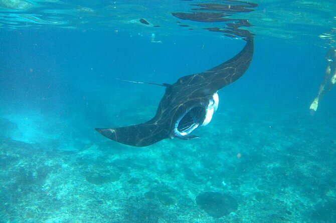 No:#1. Penida Island Tour And Snorkeling With Manta - Who Will Love This Tour?