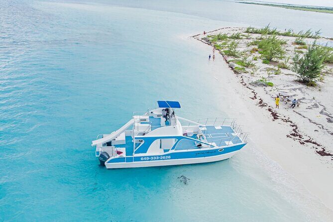 Noahs Ark Catamaran Trip - Authentic Reviews: What Travelers Say