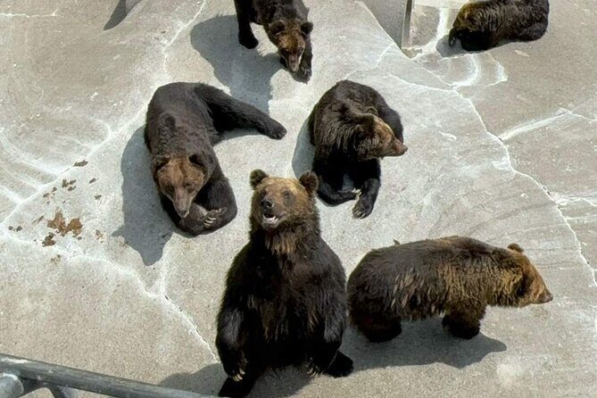 Noboribetsu and Toyako Wonders Hot Springs Farms and Scenic Spots - The Sum Up