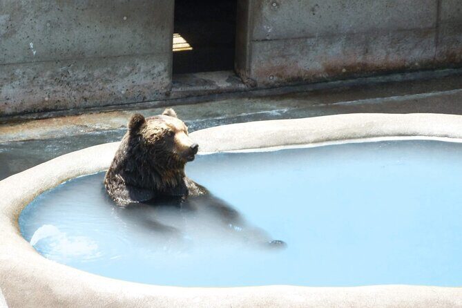 Noboribetsu and Toyako Wonders Hot Springs Farms and Scenic Spots - FAQ