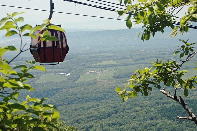 Noboribetsu Bear Park Admission Ticket | Hokkaido - FAQ