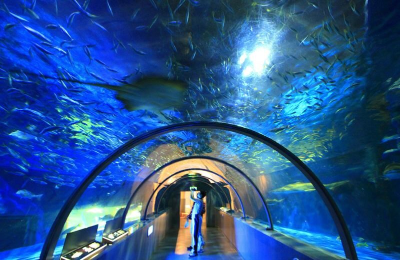 Noboribetsu Marine Park NIXE Admission Ticket - Start inside the Danish-style NIXE Castle