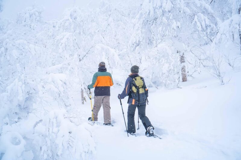 Noboribetsu: Orofure Pass Snowshoeing Tour - Key Points