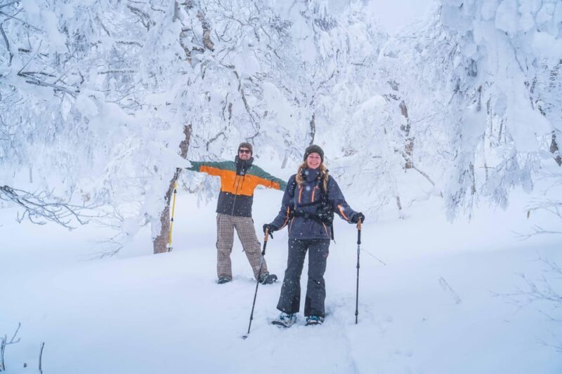 Noboribetsu: Orofure Pass Snowshoeing Tour - Considerations for Travelers
