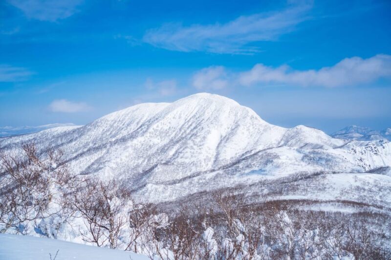 Noboribetsu: Orofure Pass Snowshoeing Tour - Who Should Consider This Tour?